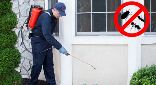 Kırıkhan Hamam Böceği İlaçlama böcek ilaçlama ve haşere kontrolü — ilaclama-tr.com